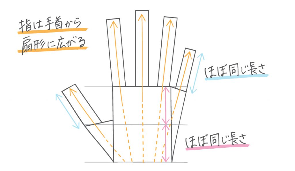 手や指の描き方はコツを掴めば上達 手の構造とうまく描くためのポイント Kisa Illustration Design